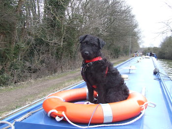 Pet friendly canal holidays